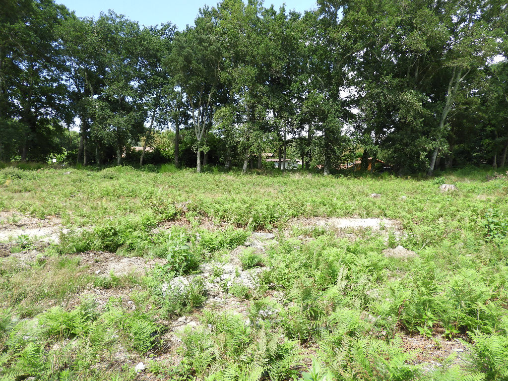 terrain à bâtir 962 m² CAPBRETON