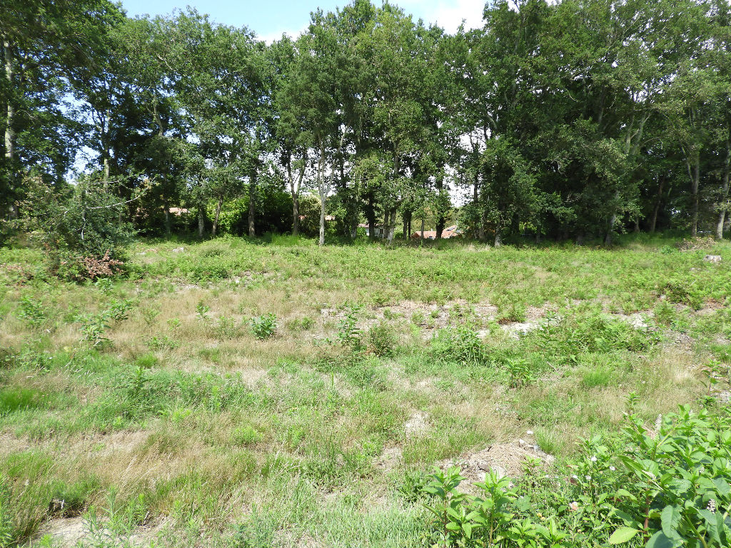 terrain à bâtir 1238 m² CAPBRETON