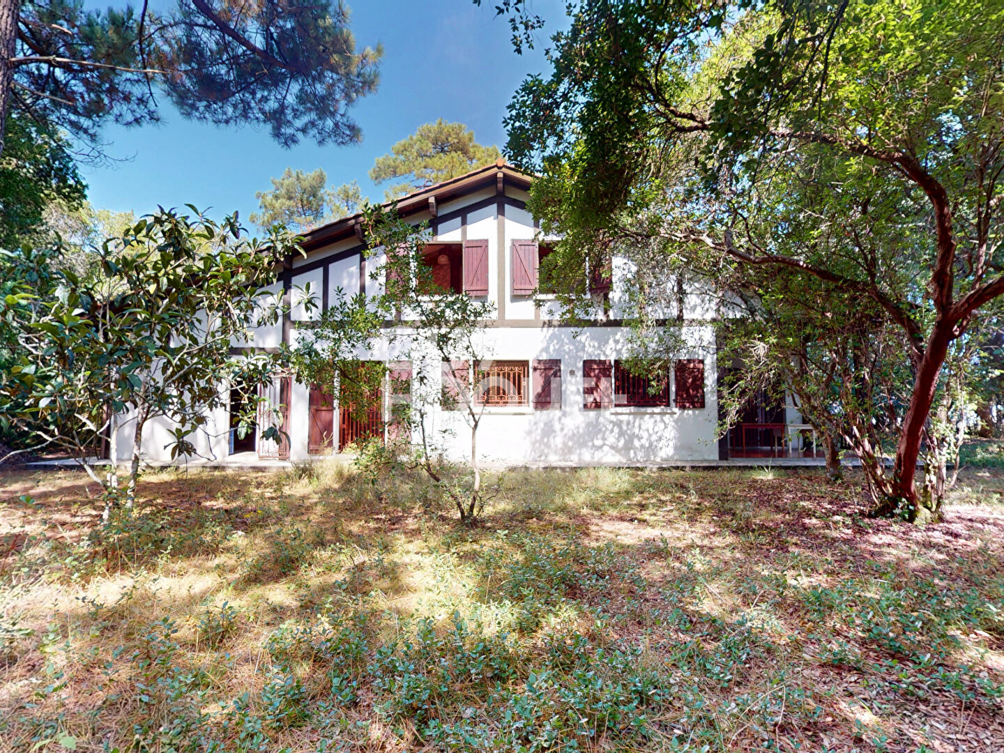 Plage à pieds ! Maison landaise sur terrain 1995 m²