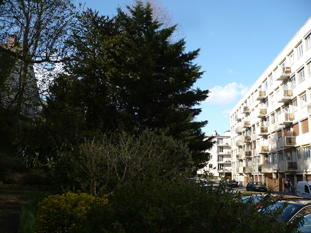APPARTEMENT LUMINEUX