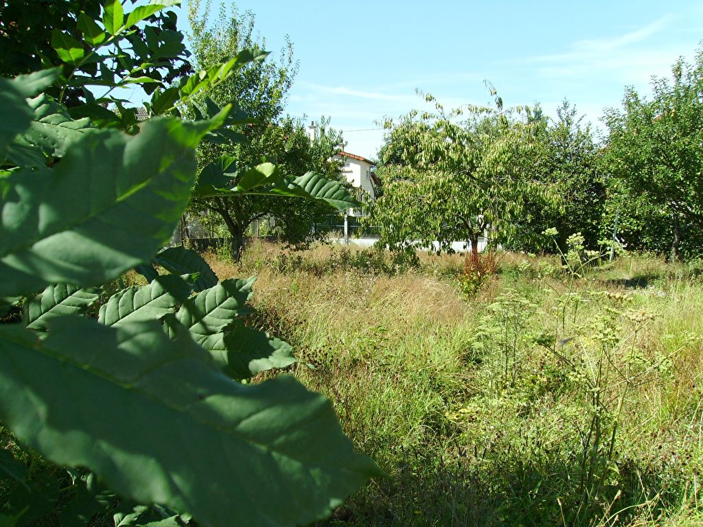Terrain à Batir LAGNY