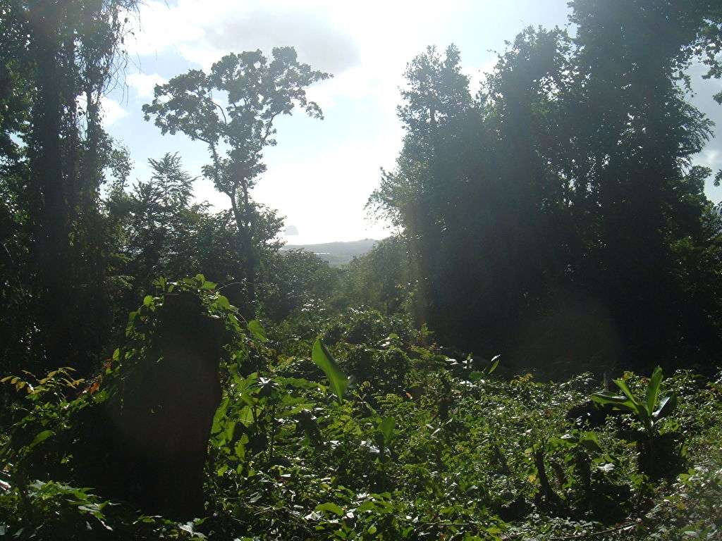 RIVIERE SALEE