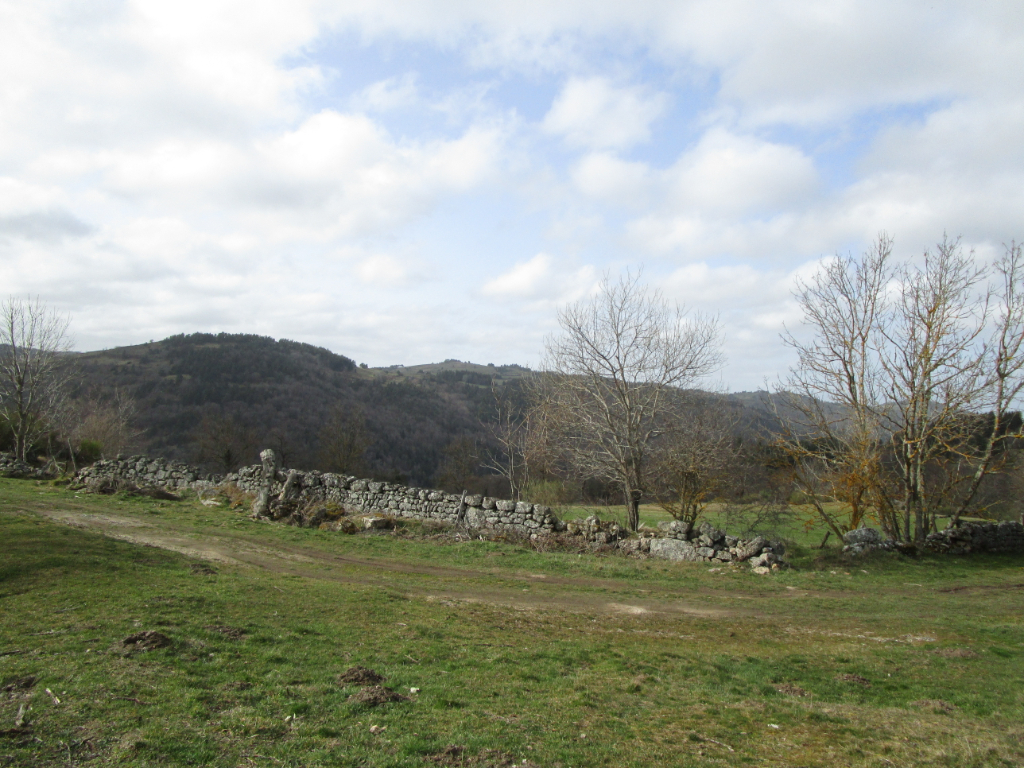 Corps de ferme Saint Prejet D Allier