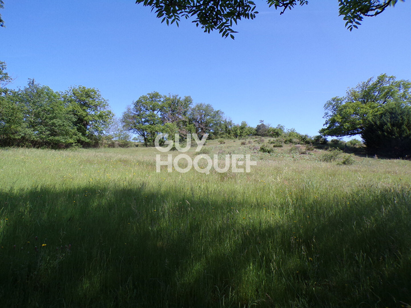 Terrain Mazeyrat D Allier 7042 m2