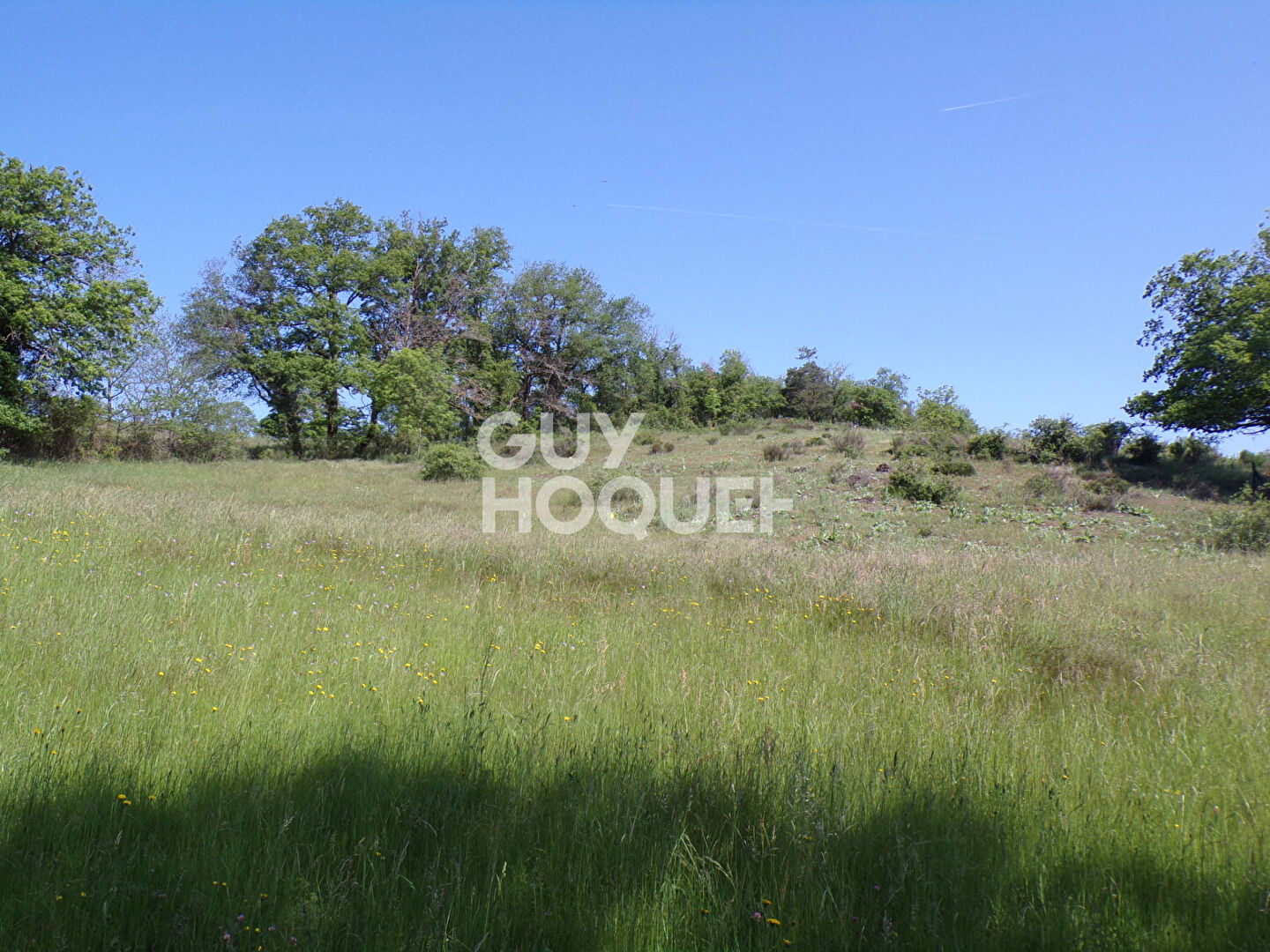 Terrain Mazeyrat D Allier 7042 m2
