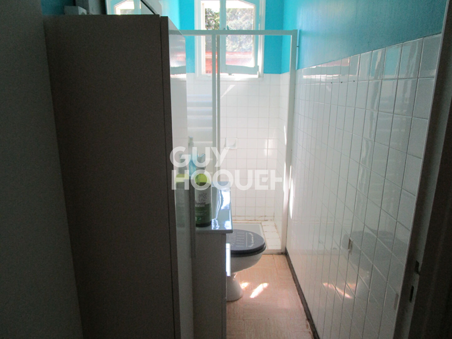 Maison Langeac 7 pièce(s) 207 m2