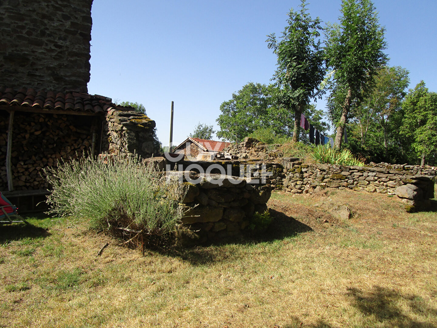 Maisons avec terrain