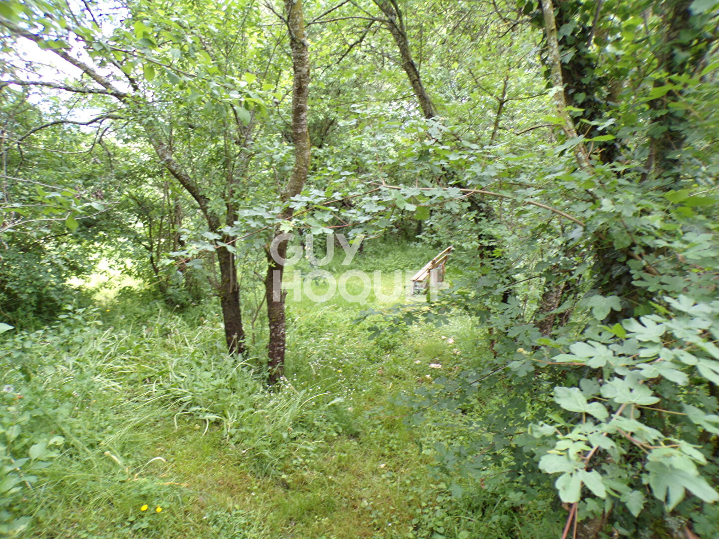 Maison atypique sur 5000 m² de terrain