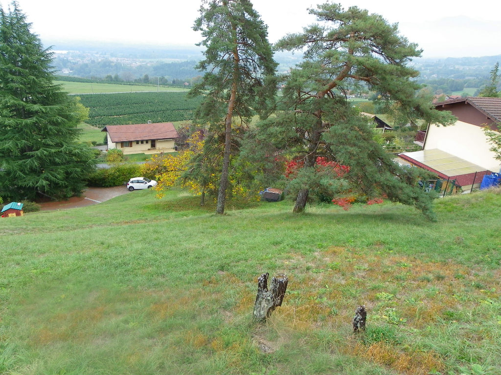 TRES BEAU TERRAIN de 1200 M² SUR LA COLLINE DE REIGNIER-ESERY