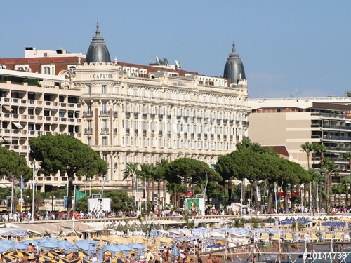 Vous souhaitez vous installer ou investir sur Cannes?