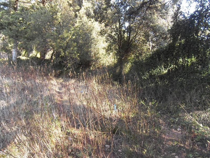 Terrain Le Cannet Des Maures