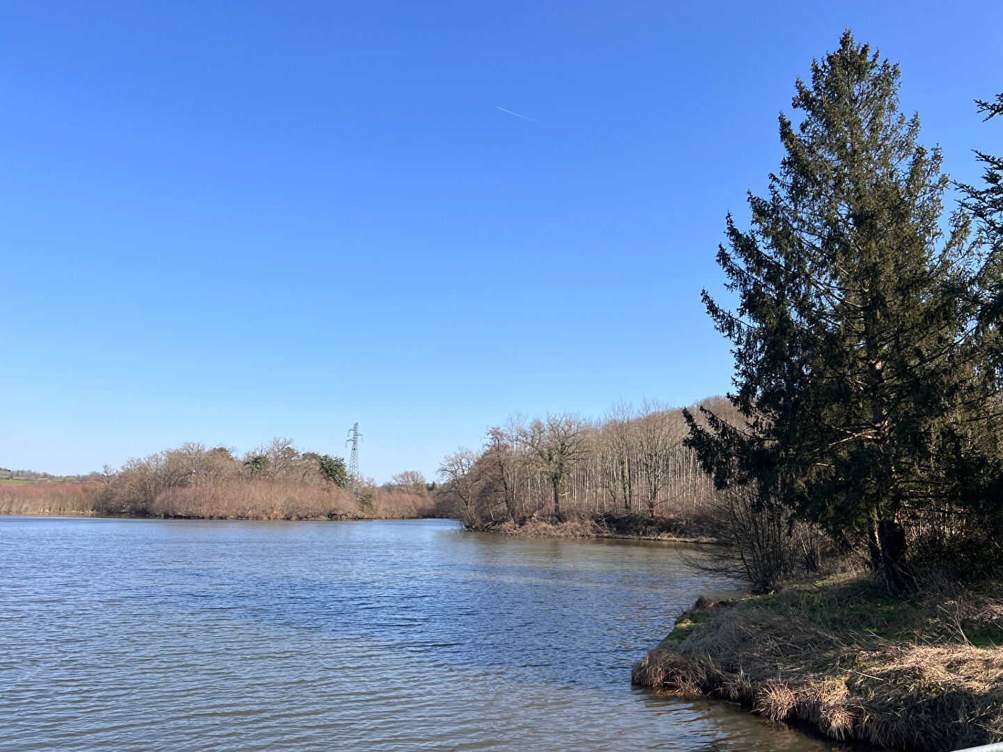 À vendre : Magnifique étang à Grury, un havre de paix