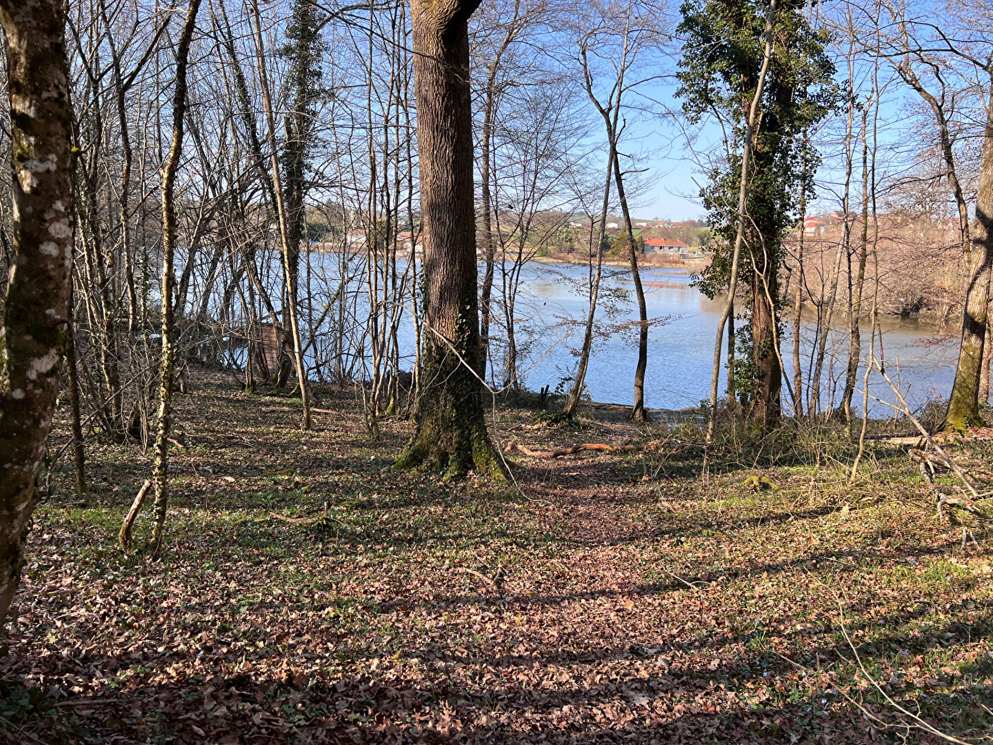 À vendre : Magnifique étang à Grury, un havre de paix