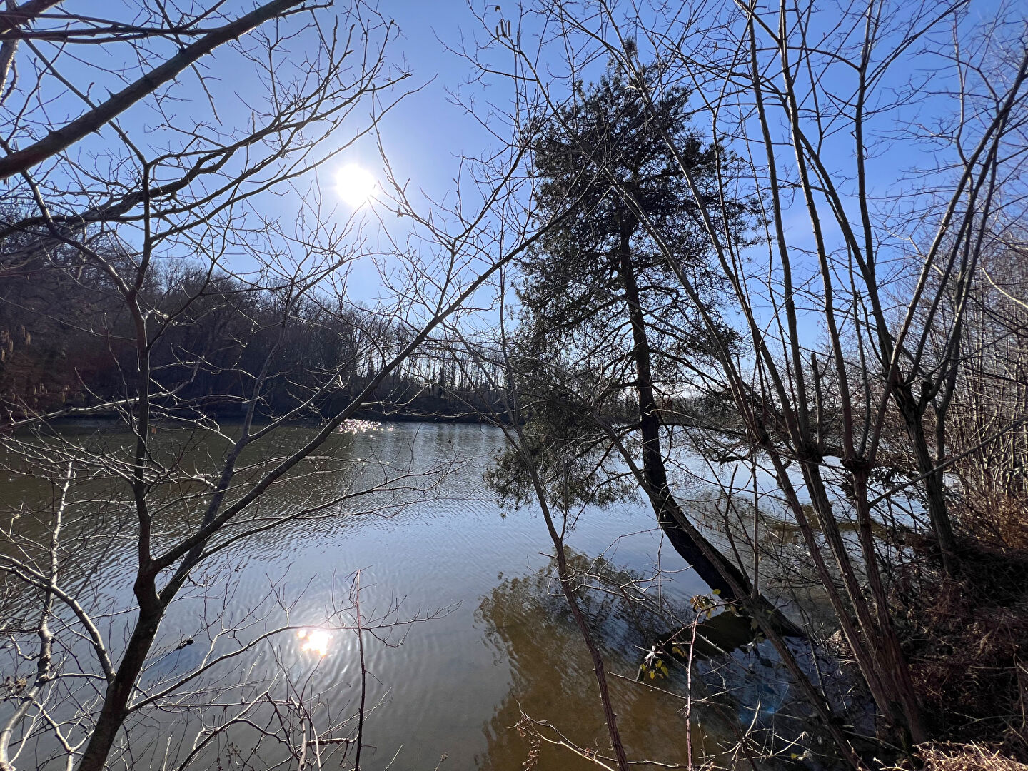 À vendre : Magnifique étang à Grury, un havre de paix