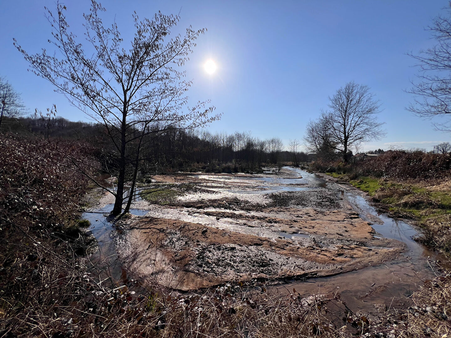 À vendre : Magnifique étang à Grury, un havre de paix