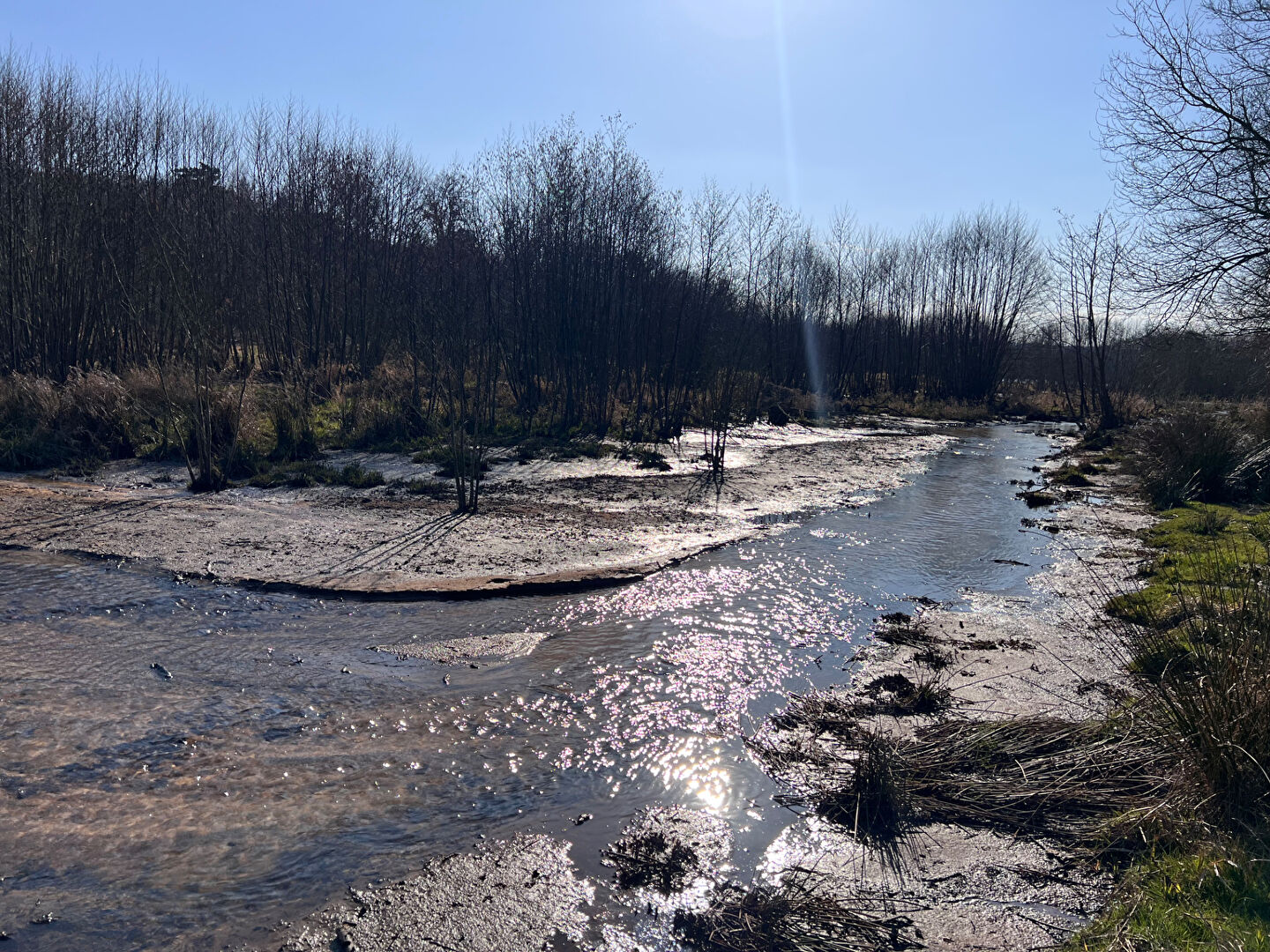 À vendre : Magnifique étang à Grury, un havre de paix