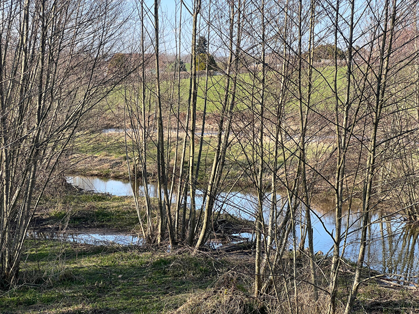 À vendre : Magnifique étang à Grury, un havre de paix