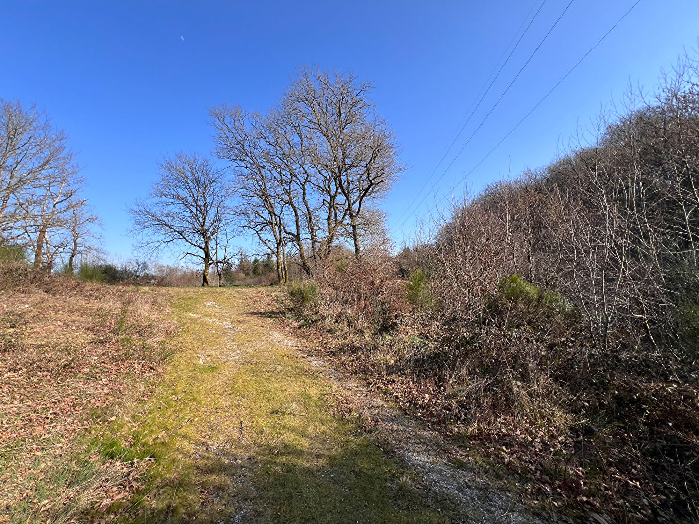 À vendre : Magnifique étang à Grury, un havre de paix