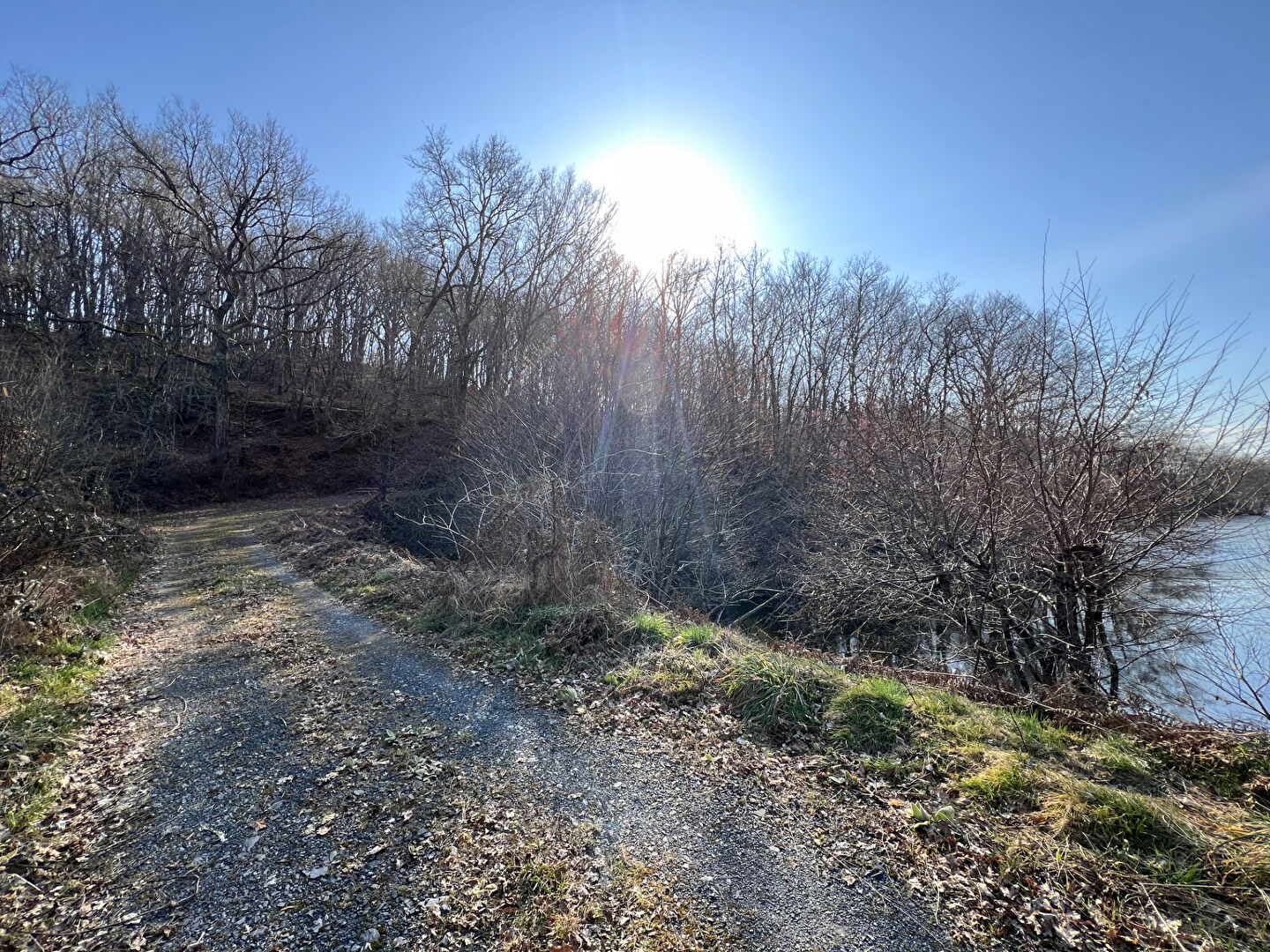À vendre : Magnifique étang à Grury, un havre de paix