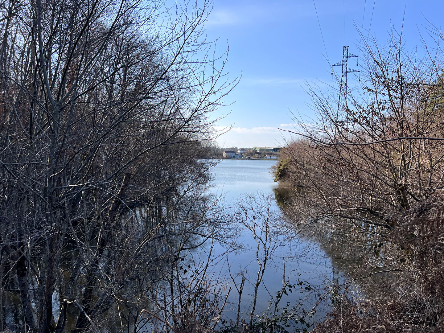À vendre : Magnifique étang à Grury, un havre de paix