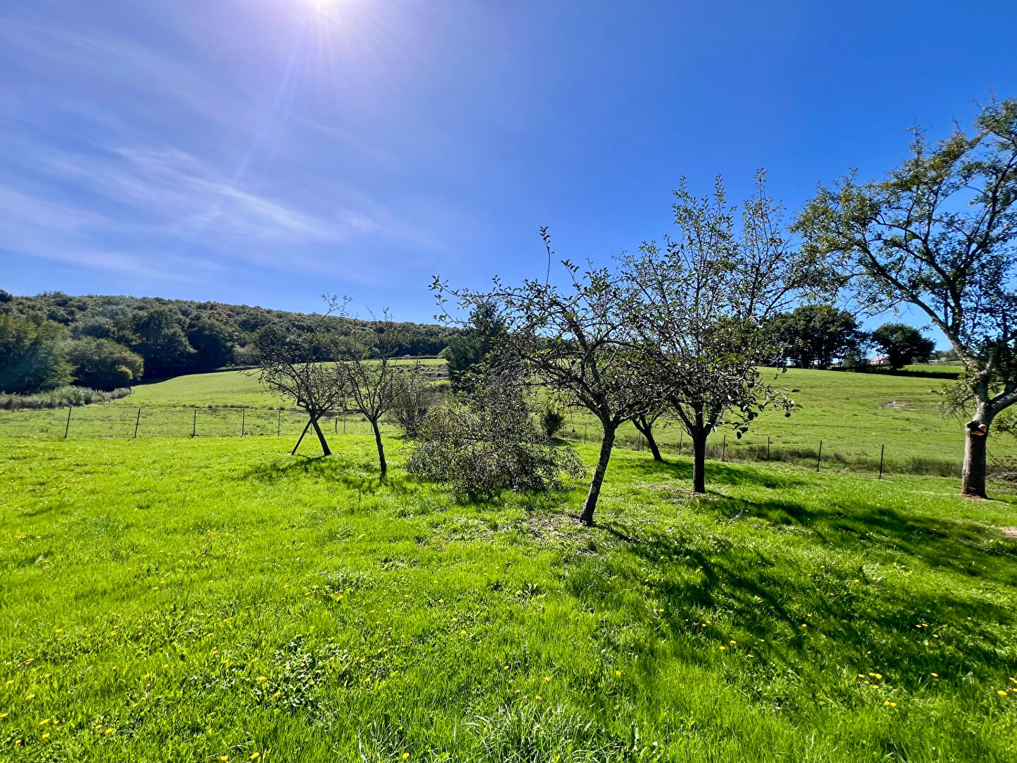 Maison de charme à vendre à Sainte-Radegonde