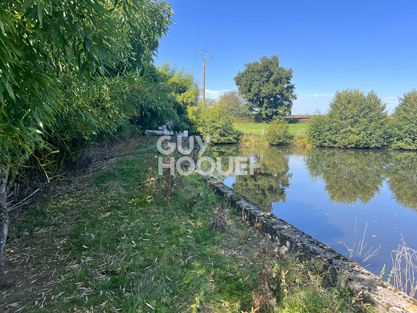 À vendre : étang à Grury - Une opportunité rare !