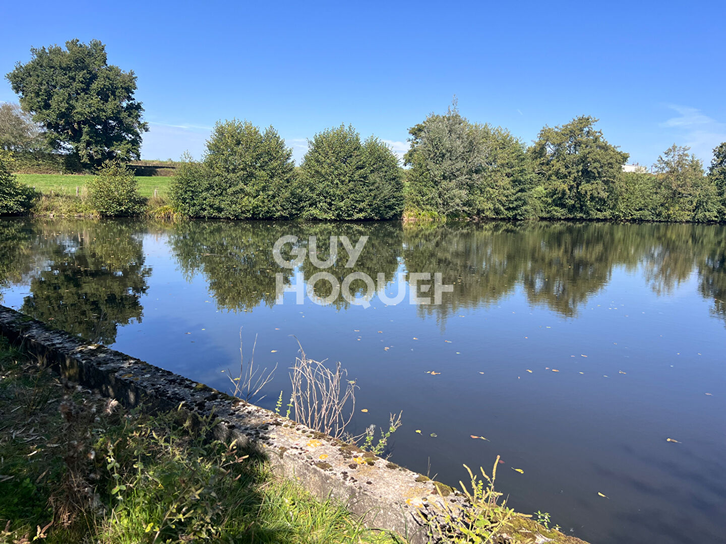 À vendre : étang à Grury - Une opportunité rare !