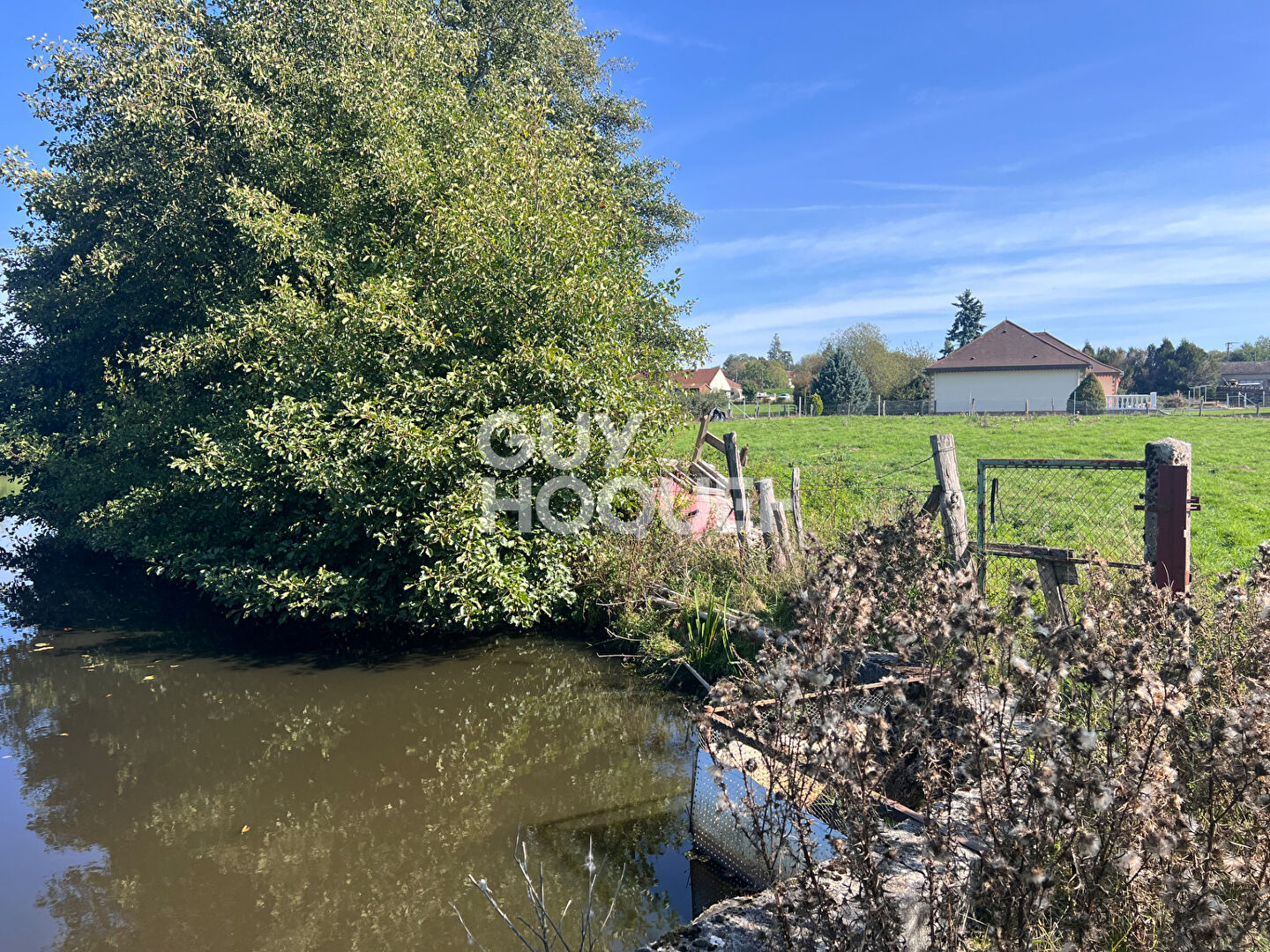 À vendre : étang à Grury - Une opportunité rare !