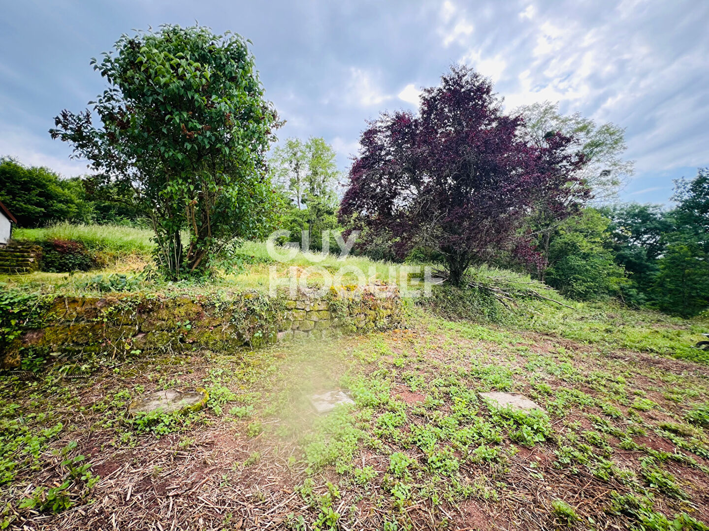 Maison spacieuse à vendre à Ozolles - 5 pièces avec grand terrain