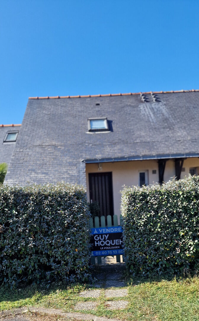 Proche côte sauvage