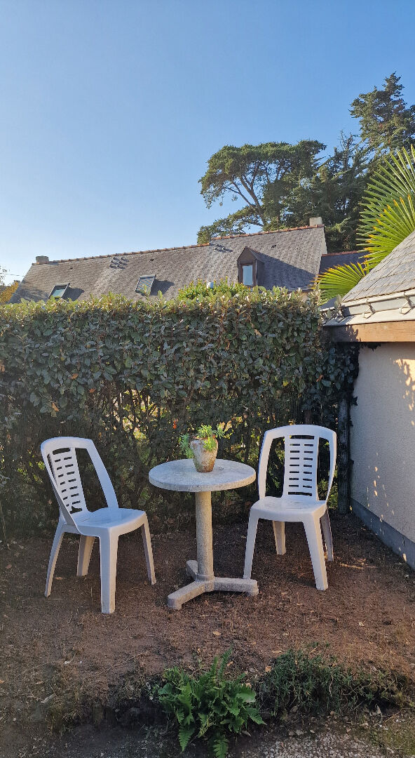 Proche côte sauvage