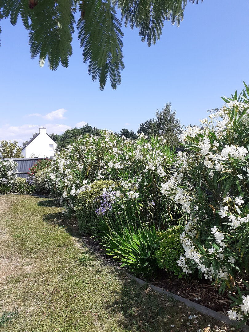 Tranquilité assurée.