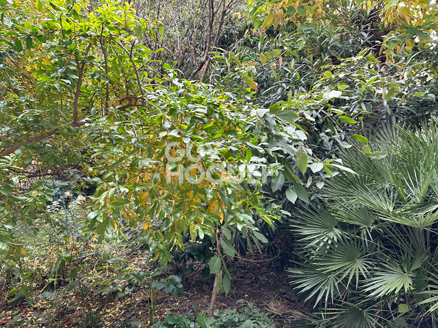 À vendre : Appartement 2 pièces à Levallois-Perret - Référence 1498