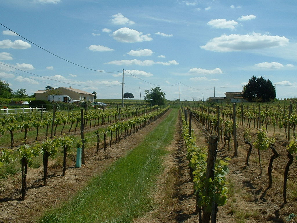 St Quentin de Baron 