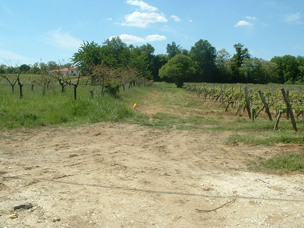 St Quentin de Baron 