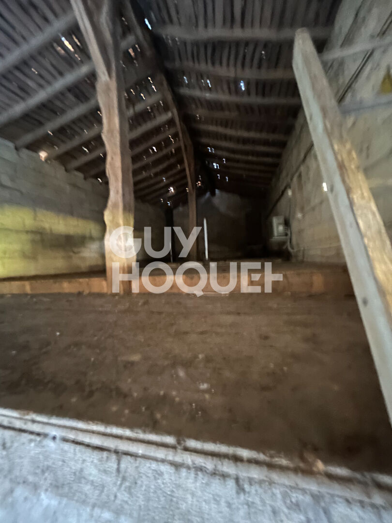 SECTEUR SAINT EMILION