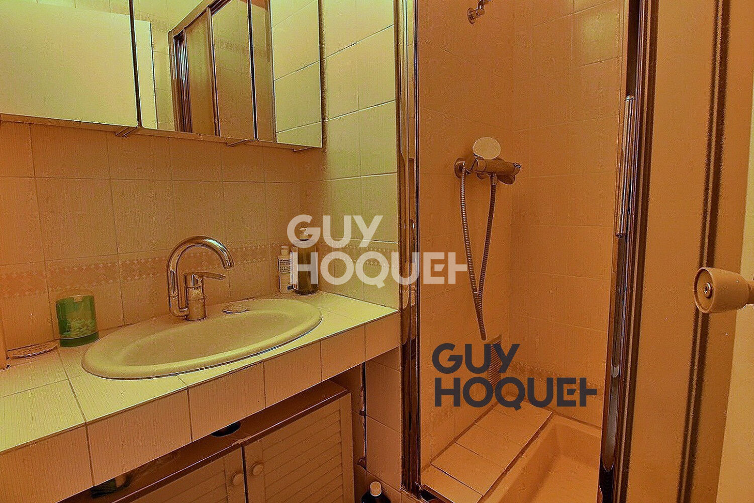 Appartement Limeil Brevannes 5 pièce(s) 98 m2