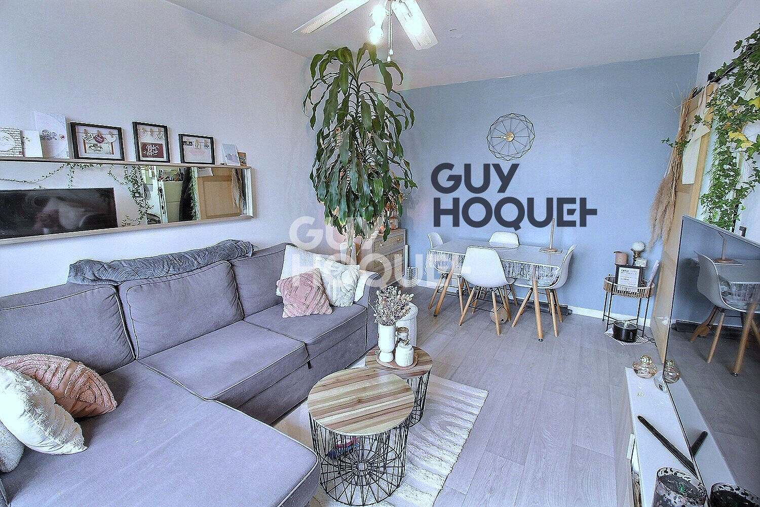 Coup de coeur assuré !