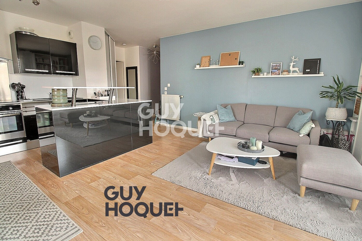 Appartement 3 pièce(s) au pieds du câble C1