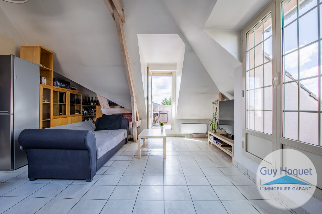 À vendre à PARAY VIEILLE POSTE (91550) appartement atypique.