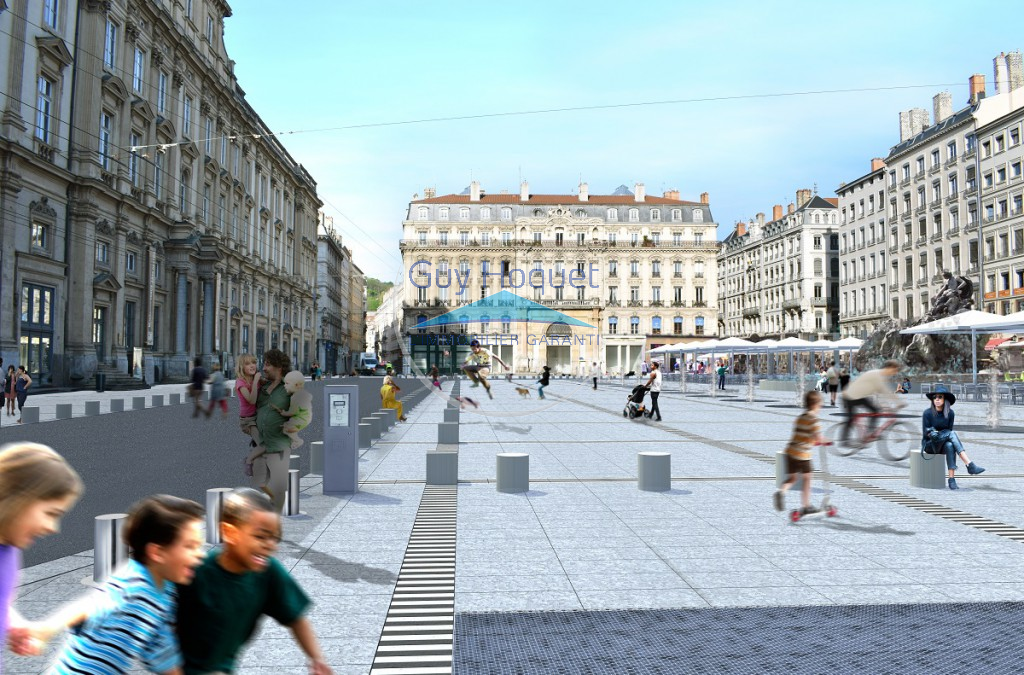 Rénovation - Projet Presqu'île