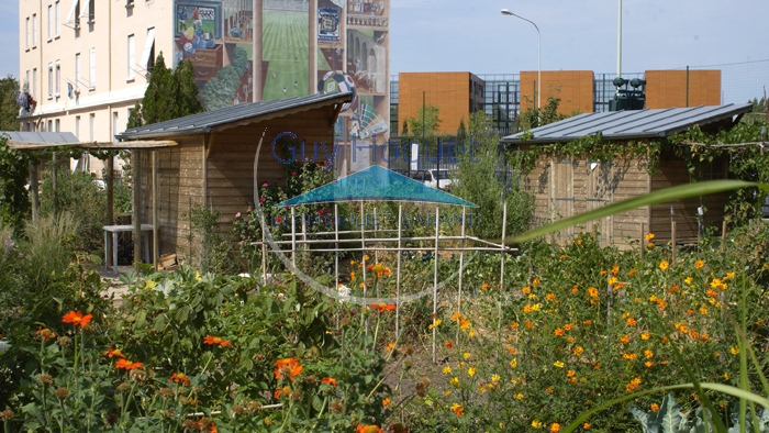 Un jardin partagé à Lyon 2