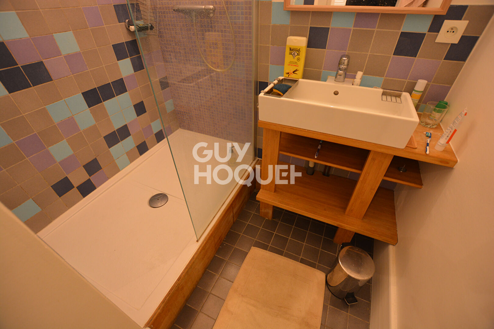 LYON 1 JARDIN DES PLANTES - Appartement  4 pièces - 125 m2