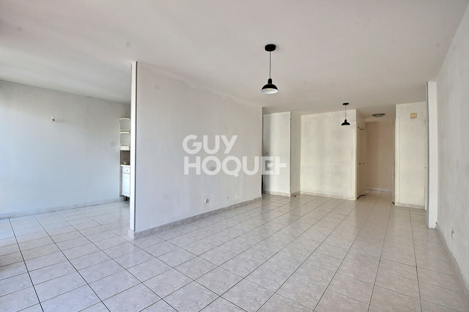 Appartement familial T4 de 82 m²  avec garage - Proximité Montchat - Villeurbanne (69100)