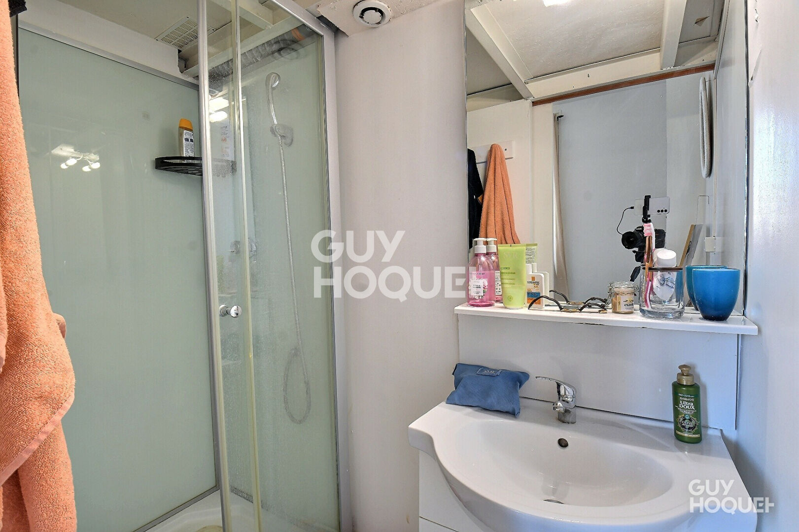 À vendre : Appartement divisé en deux studios loués en meublé -  secteur Grange Blanche - Lyon 3ème (69003)