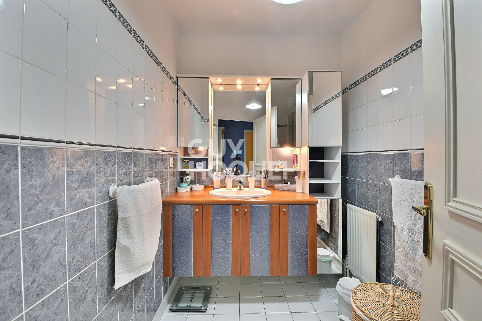 (Visite virtuelle) A vendre, T4/T5 de 114 m²  en dernier étage avec terrasse plein ciel de 35 m² et 2 garages, secteur Sans-Souci / Monplaisir à Lyon, 3ème arrondissement (69003)