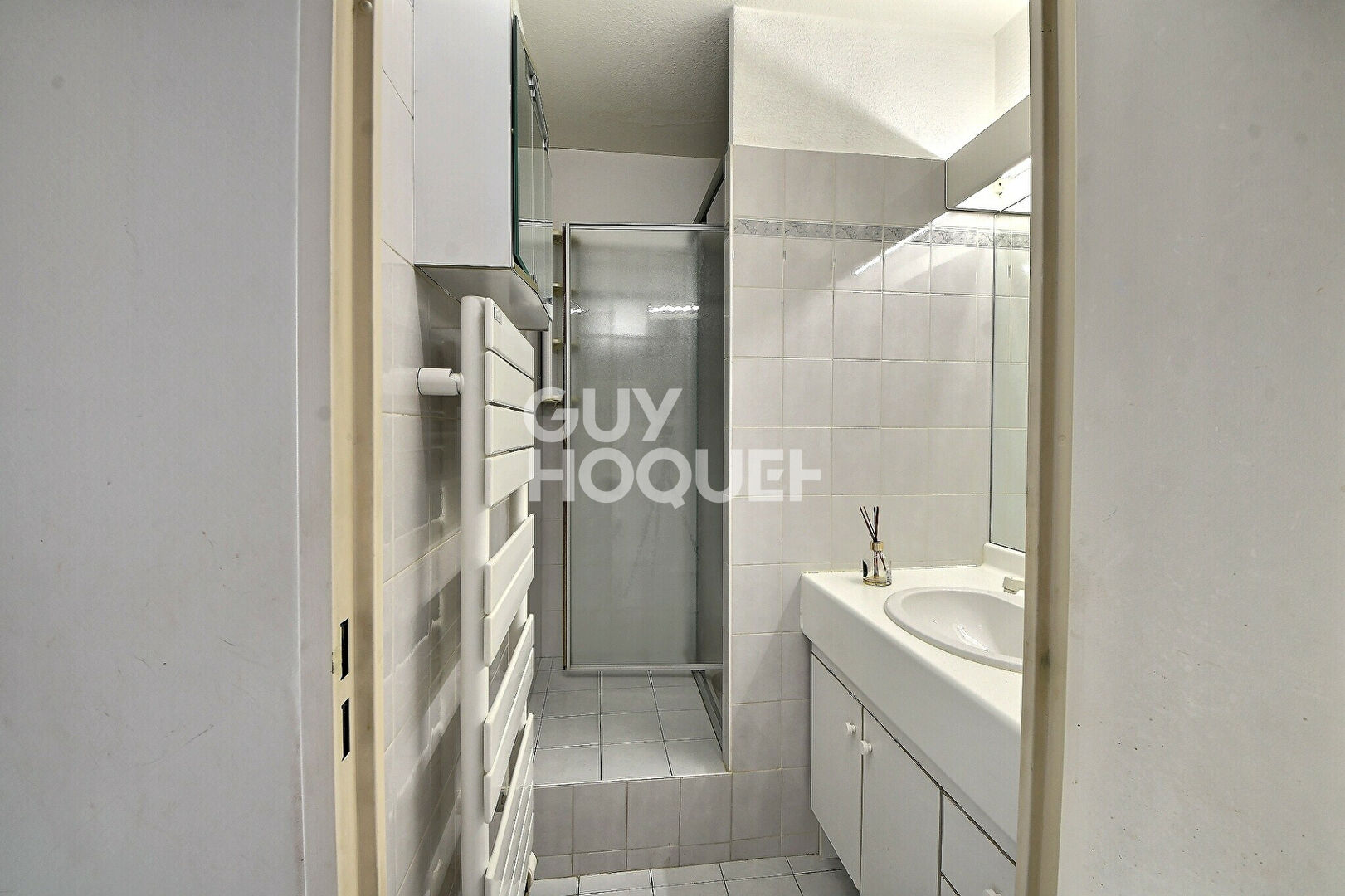 Appartement type T5 de 106 m² avec 2 balcons, cave, garage et parking, secteur Maison de la danse, Lyon 8ème (69008)