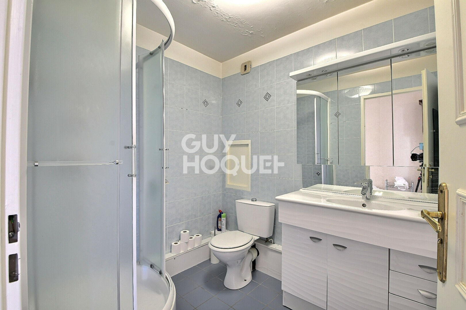 Appartement d'Exception T6 155 m² en Dernier Étage Résidence Prestigieuse 'Les Jardins de l'Europe' Lyon 3