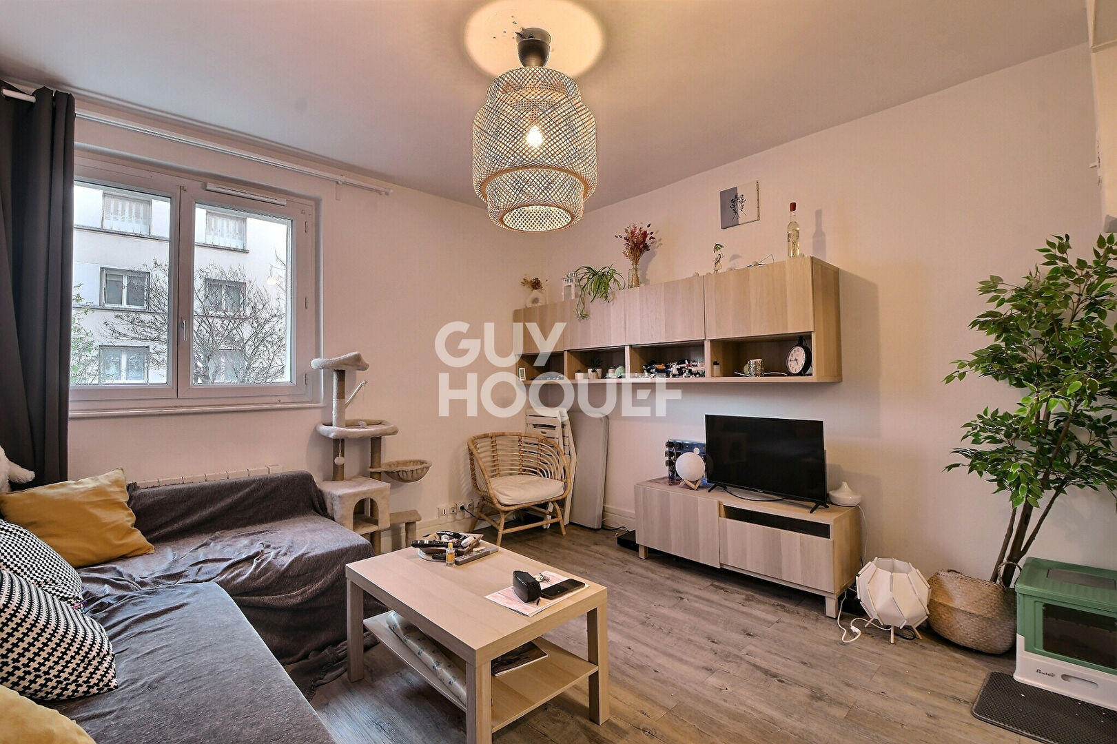 Appartement T2 Proximité Grange Blanche Lyon 8ème (69008)