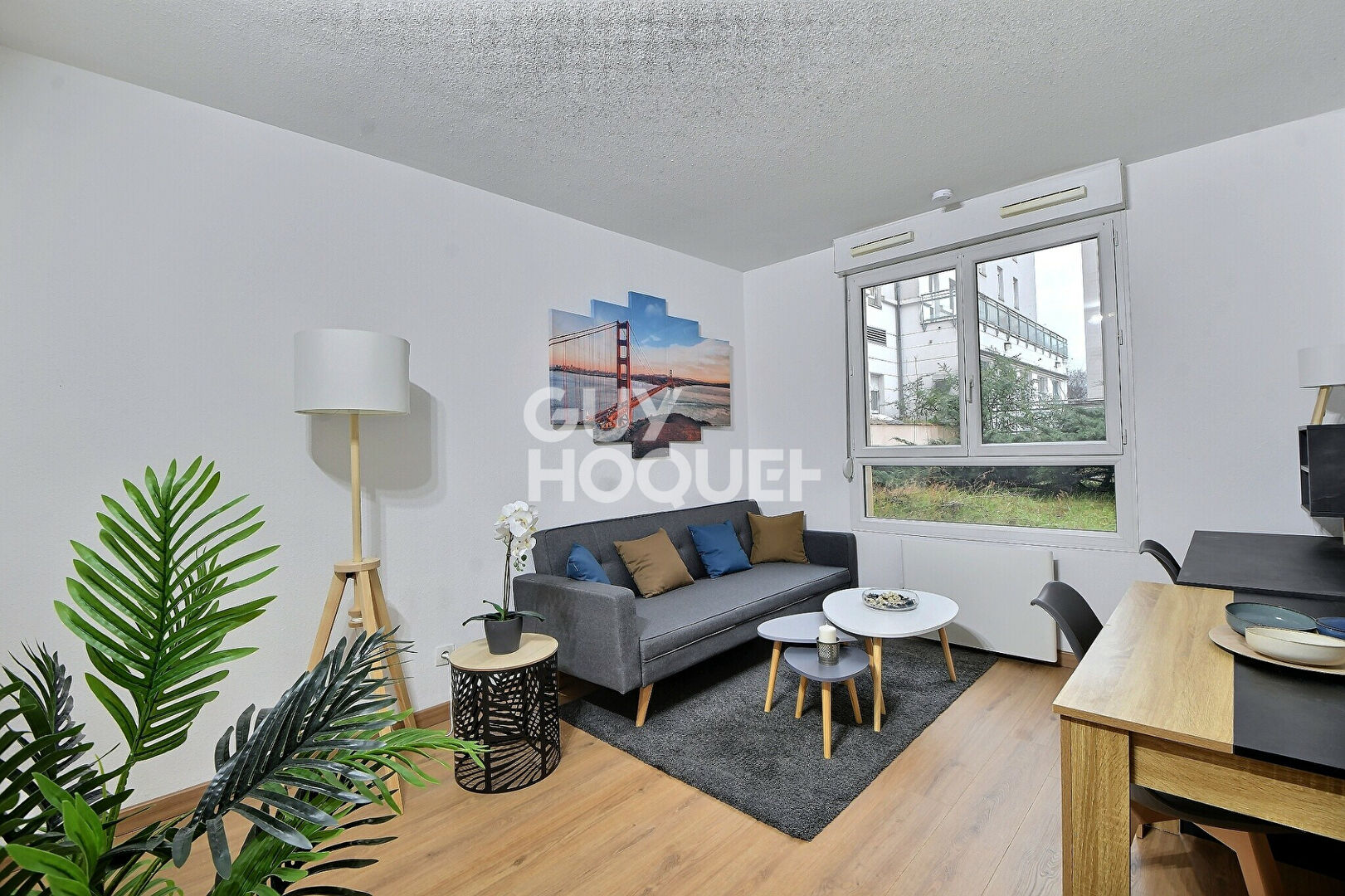 Appartement T1 de 20 m² rénové , Secteur Laënnec Grange Blanche, Lyon 8ème (69008)